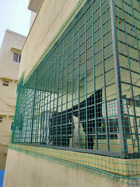 Monkey Safety Nets