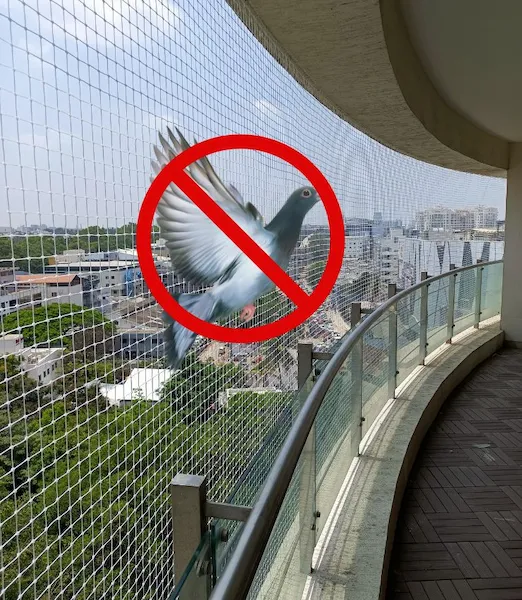 Pigeon Safety Nets