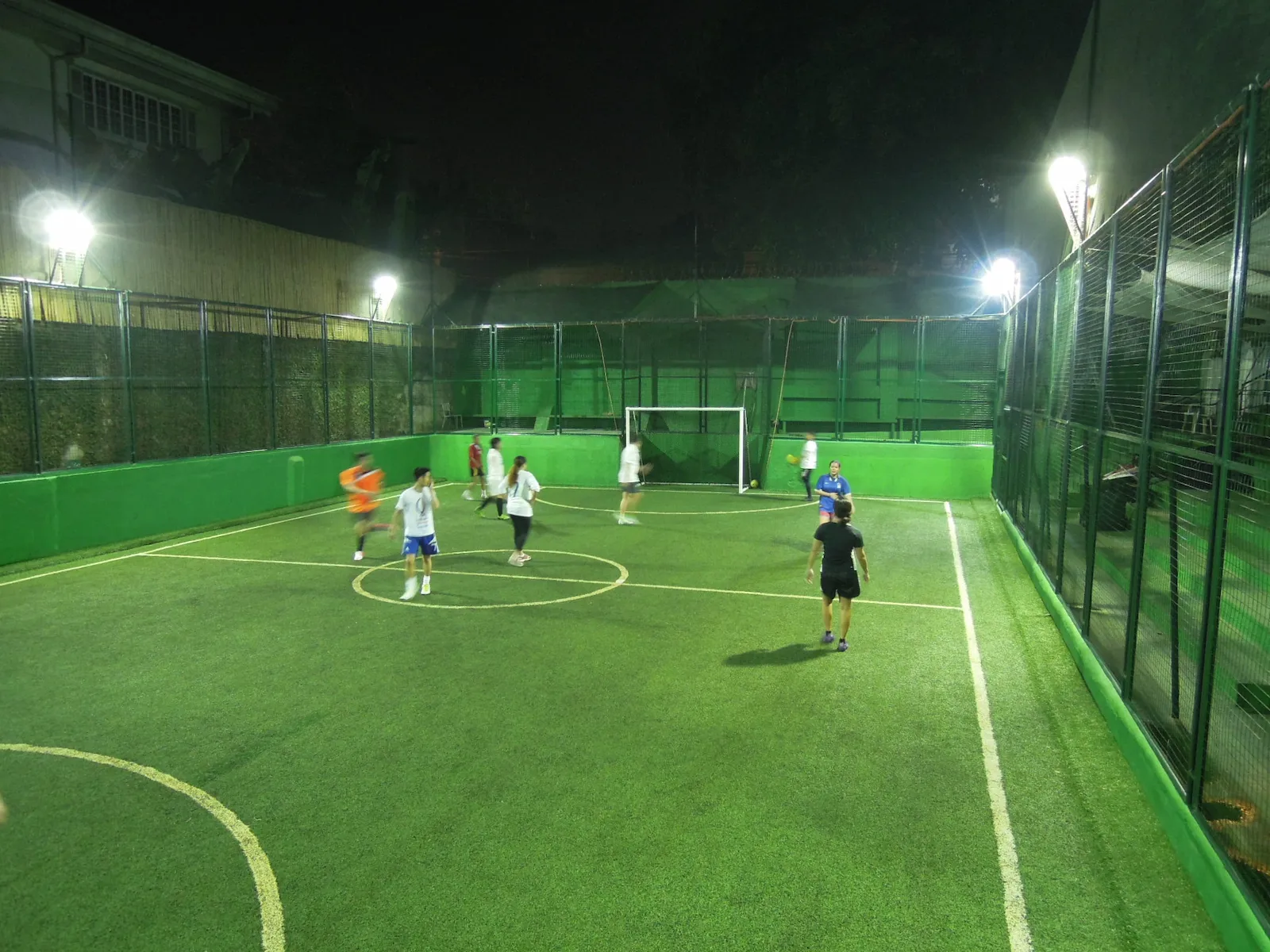 Bird protection nets Hyderabad