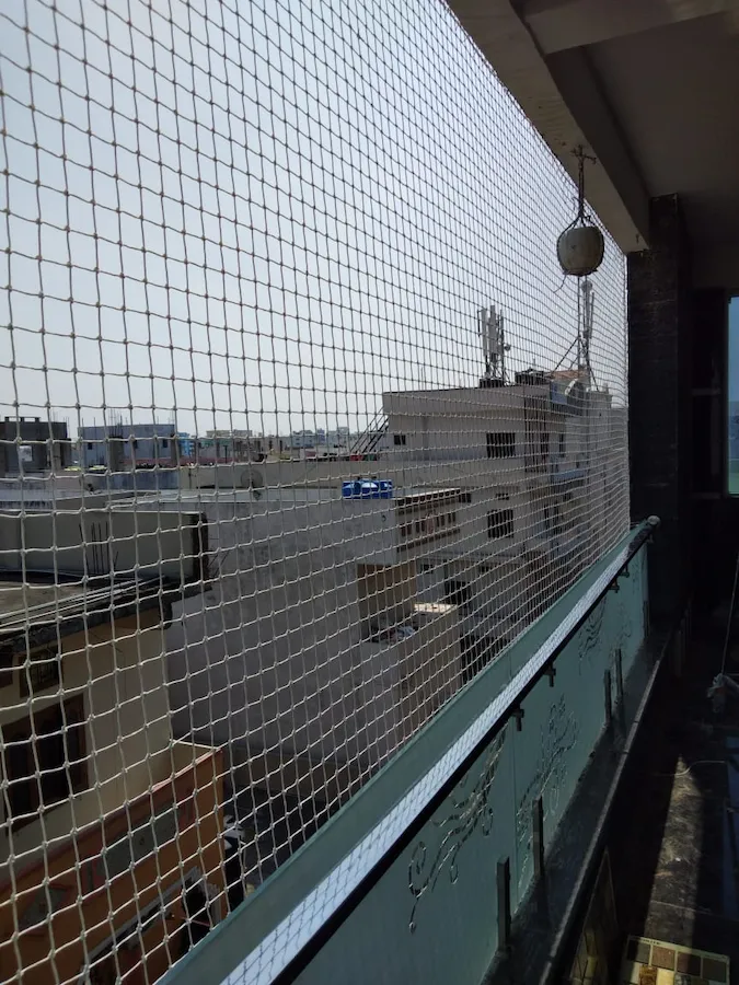 sparrow protection in Hyderabad